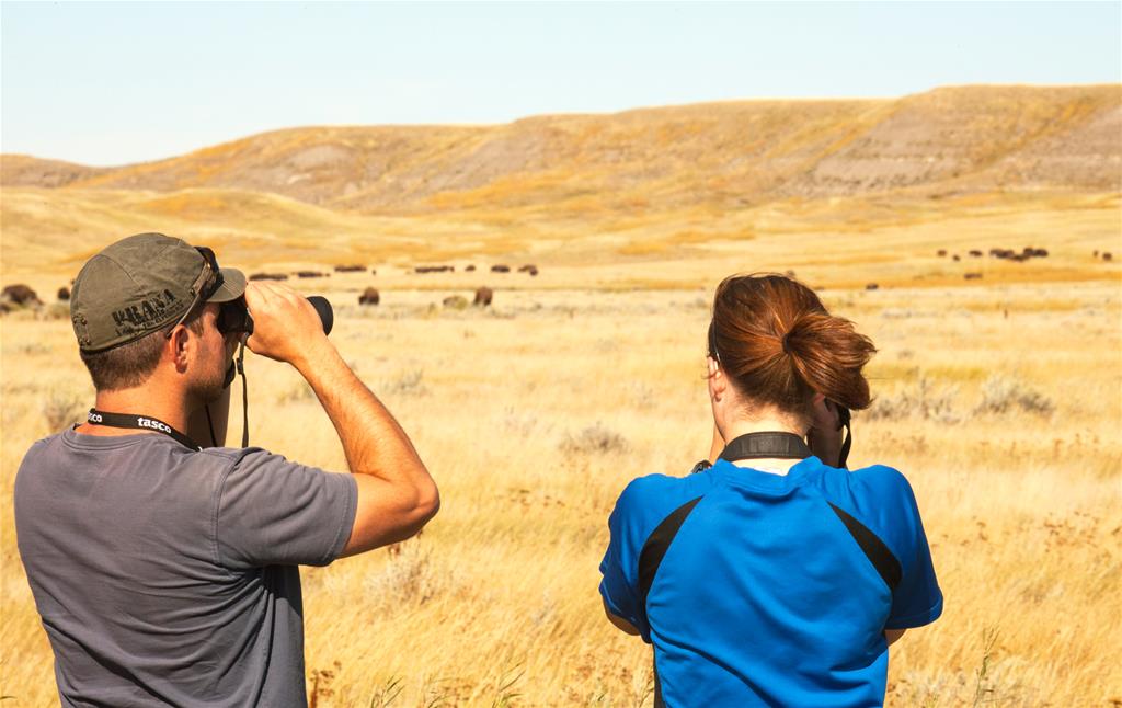 Grasslands National Park - Wildlife viewing in the West Block; Photo: Parks Canada